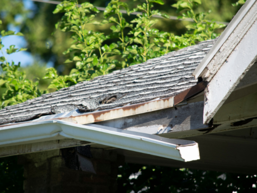 If your roof isn’t prepared to face the humidity,
