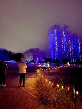 Holidays at the Heard