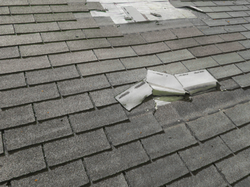 Alumni Roofing & Exteriors