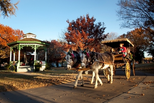 Carriage Rides at Candlelight