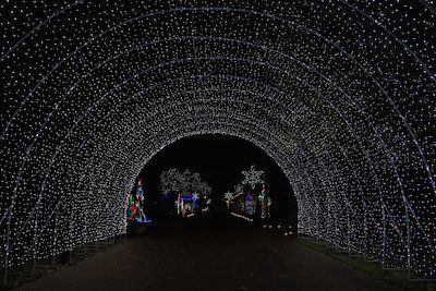 Tour of Lights in Farmers Branch Texas